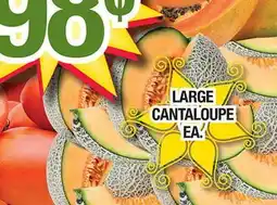 Torres Supermercado LARGE CANTALOUPE offer