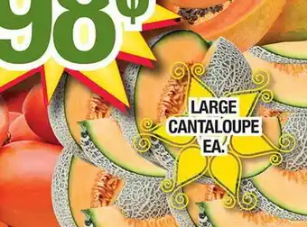 Torres Supermercado LARGE CANTALOUPE offer