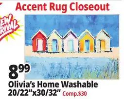 Ocean State Job Lot Olivia's Home Washable 20/22x30/32 Accent Rug Closeout offer