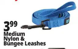 Ocean State Job Lot Medium Nylon & Bungee Leashes offer