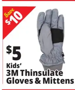 Ocean State Job Lot Ski Gloves offer