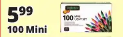 Ocean State Job Lot 100 Mini Christmas Lights offer