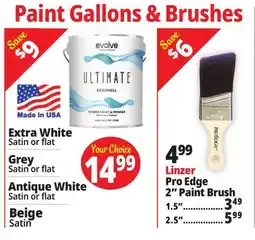 Ocean State Job Lot Paint Gallons & Brushes offer