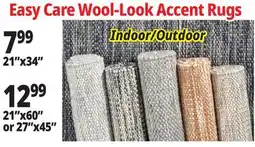 Ocean State Job Lot Accent Rugs offer