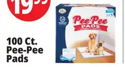Ocean State Job Lot 100 Ct. Pee-Pee Pads offer