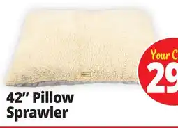 Ocean State Job Lot 42 Pillow Sprawler offer