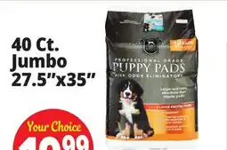 Ocean State Job Lot Huntington Pet Products Professional Grade 27.5 x 35 Puppy Pads with Odor Eliminators 40 Count offer