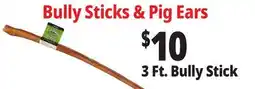 Ocean State Job Lot 3 Ft. bully Stick offer