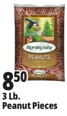 Ocean State Job Lot Morning Song Wildlife Food Peanuts 3 lbs offer