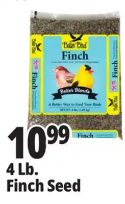 Ocean State Job Lot Better Bird Finch Bird Food 4 lbs offer