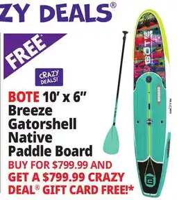 Ocean State Job Lot BOTE 10' x 6 Breeze Gatorshell Native Paddle Board with Paddle Native Spectrum offer