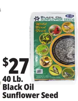 Ocean State Job Lot Black Oil Sunflower Seeds 40 lbs offer