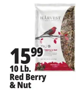 Ocean State Job Lot Harvest Seed & Supply Red Berry & Nut Wild Bird Food 10 lb offer