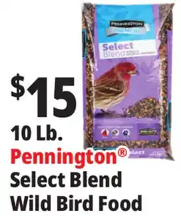 Ocean State Job Lot Pennington Premium Select Blend Bird Seed 10 lb offer