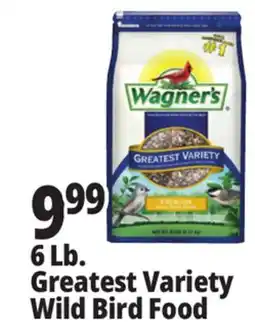 Ocean State Job Lot Wagner's Greatest Variety Deluxe Wild Bird Food 6 lbs offer