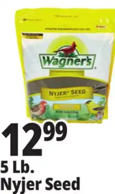 Ocean State Job Lot Wagner's Premium Nyjer Seed 5 lbs offer