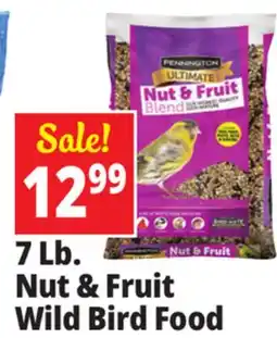 Ocean State Job Lot Pennington Ultimate Nut & Fruit Blend Wild Bird Seed 7 lbs offer