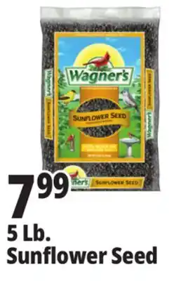 Ocean State Job Lot Wagner's Black Oil Sunflower Seed Wild Bird Food 5 lbs offer
