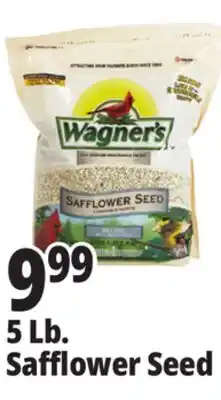 Ocean State Job Lot Wagner's Safflower Seed Deluxe Wild Bird Food offer