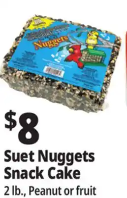 Ocean State Job Lot C&S Songbird Snak with Peanut Suet Nuggets 32 oz offer