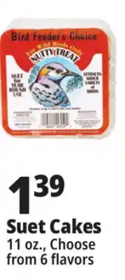 Ocean State Job Lot Bird Feeder's Choice High Energy Suet 11 oz offer