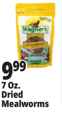 Ocean State Job Lot Wagner's Bird Meal Worms 7oz offer