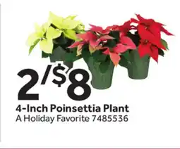 Stop&Shop 4-Inch Poinsettia Plant offer