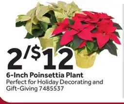 Stop&Shop 6-Inch Poinsettia Plant offer