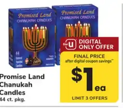 ACME Promise Land Chanukah Candles offer