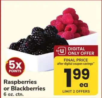 ACME Raspberries or Blackberries offer