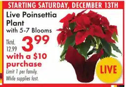 Boscov's Live Poinsettia Plant offer