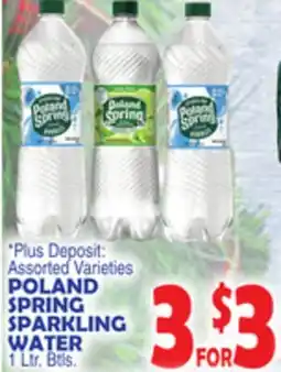 Bravo Supermarkets POLAND SPRING SPARKLING WATER offer