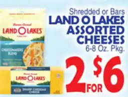 Bravo Supermarkets LAND O LAKES ASSORTED CHEESES offer