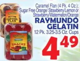 Bravo Supermarkets RAYMUNDO GELATIN 12 Pk. 3.25-3.5 Oz. Cups offer