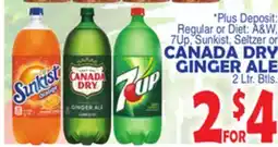 Bravo Supermarkets CANADA DRY GINGER ALE offer