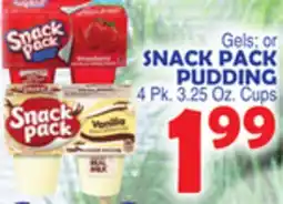 Bravo Supermarkets SNACK PACK PUDDING offer