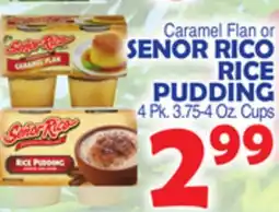 Bravo Supermarkets SENOR RICO RICE PUDDING offer