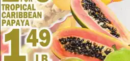 Bravo Supermarkets TROPICAL CARIBBEAN PAPAYA offer