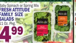 Bravo Supermarkets FRESH ATTITUDE FAMILY SIZE SALADS offer