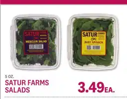 Kings Food Markets SATUR FARMS SALADS offer