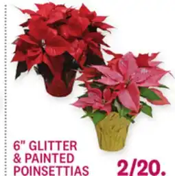 Kings Food Markets 6 GLITTER & PAINTED POINSETTIAS offer