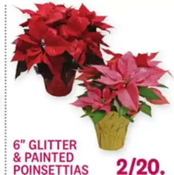 Kings Food Markets 6 GLITTER & PAINTED POINSETTIAS offer