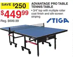 Dunham's Sports ADVANTAGE PRO TABLE TENNIS TABLE offer