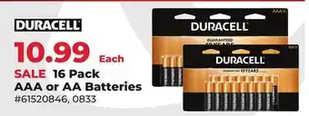 Runnings Duracell 16 Pack AAA or AA Batteries offer
