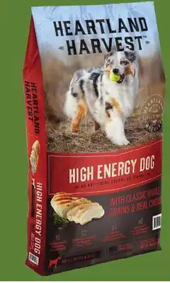 Runnings High Energy Adult Dog Food offer