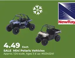 Runnings NewRay Mini Polaris Vehicles offer