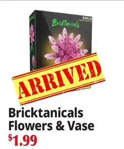 Ocean State Job Lot Bricktanicals Flower & Vase offer