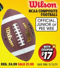 Big 5 Wilson NCAA Composite Official Football offer