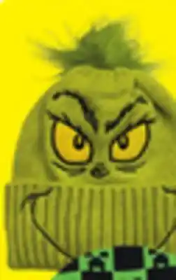 Big 5 Accessory Innovations Grinch Beanie offer