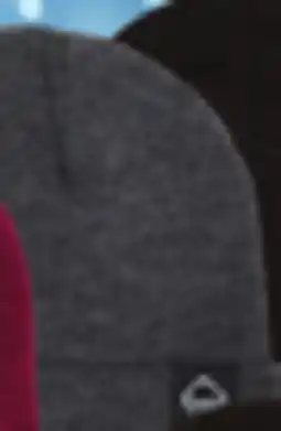 Big 5 Wolverine Watch Cap offer